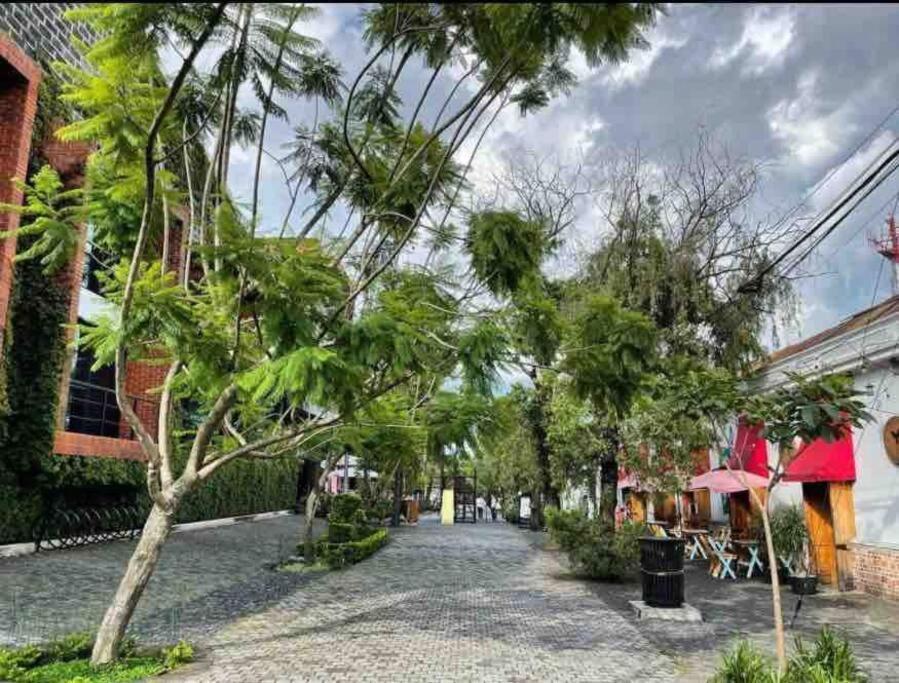 Makachi Hotel Guatemala City Exterior foto